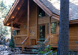 Cabin 29